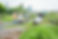 Community Garden