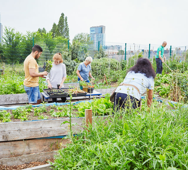 Community Garden