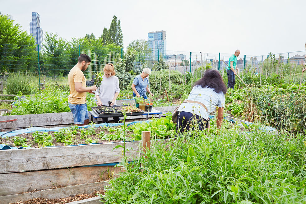 Community Garden 
