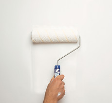 Paint Roller