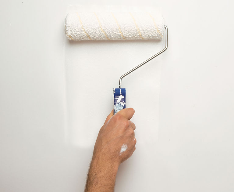 Paint Roller