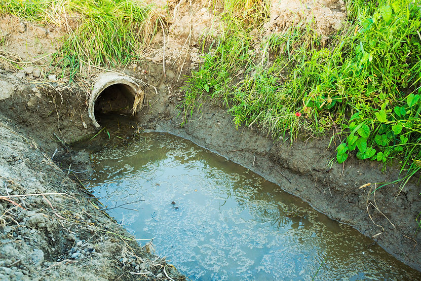 Drainage ditch