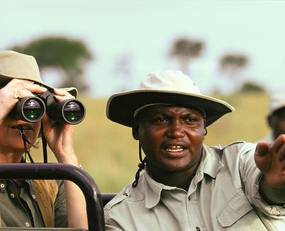 Safari Tour Guide