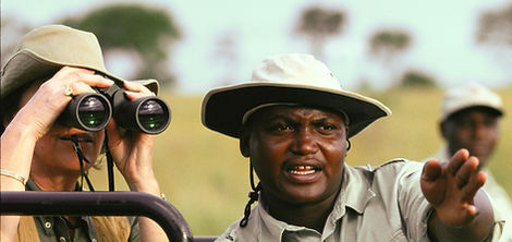 African Safari Tours