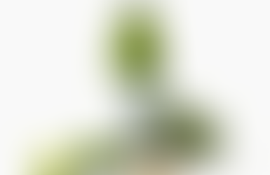 The Hidden Problem Inside Air-Dried Glass Bottles