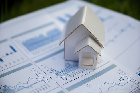 report and house model