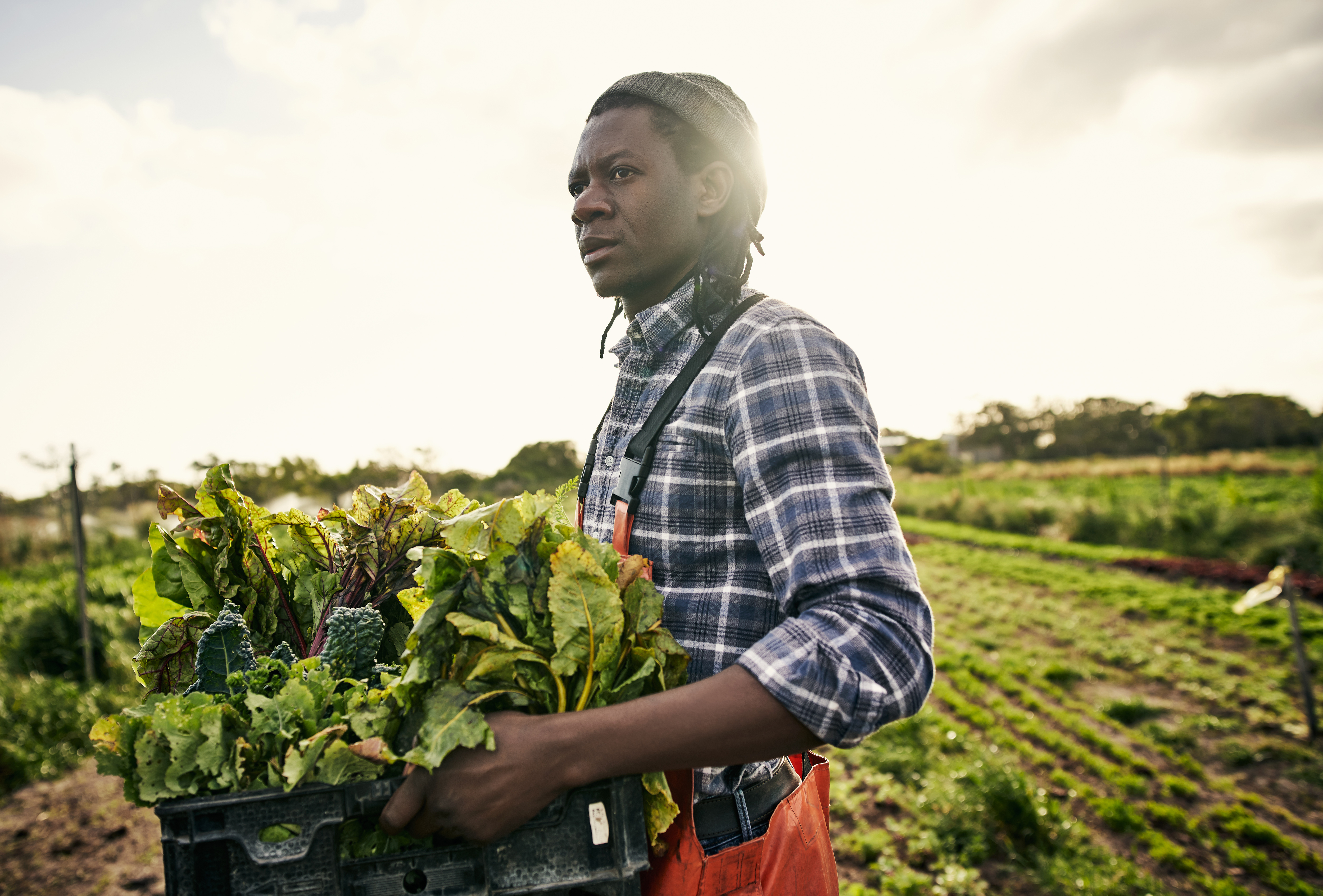 Farming Leafy Greens