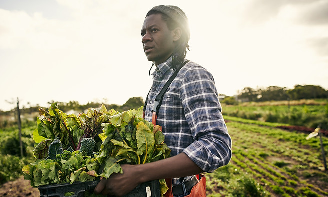 Farming Leafy Greens