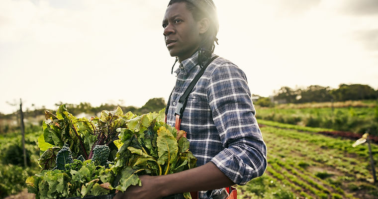 Farming Leafy Greens