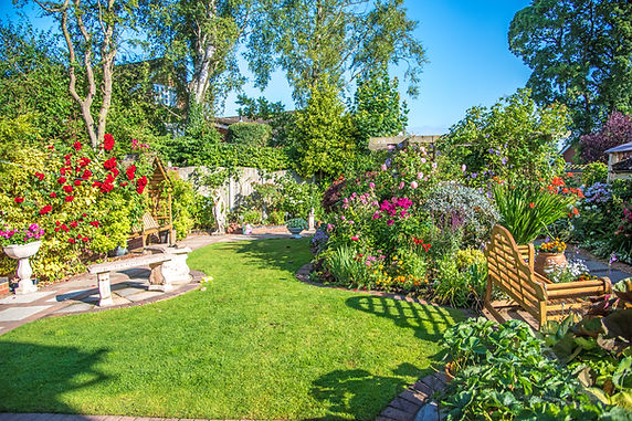 A garden with colourful flowers