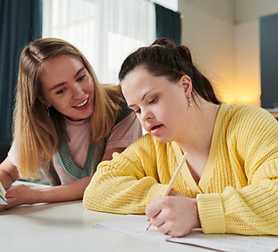 Private Tutor 