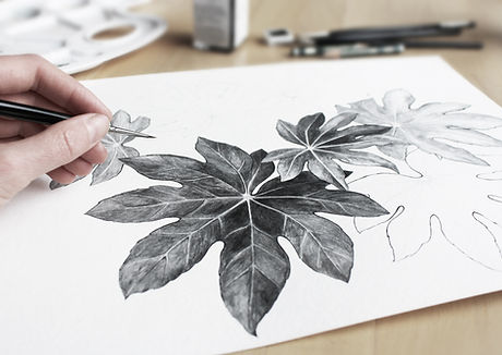 葉の描画