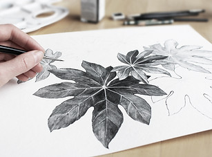 Leaves Drawing