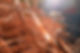 close-up image of copper scrap