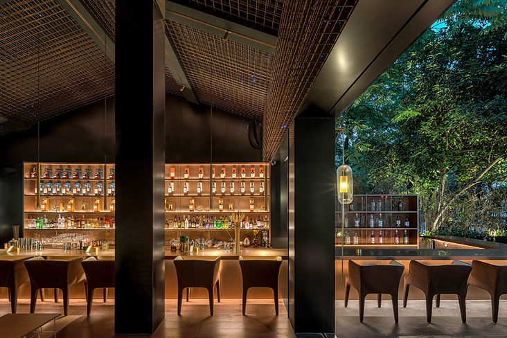 Elegant Bar