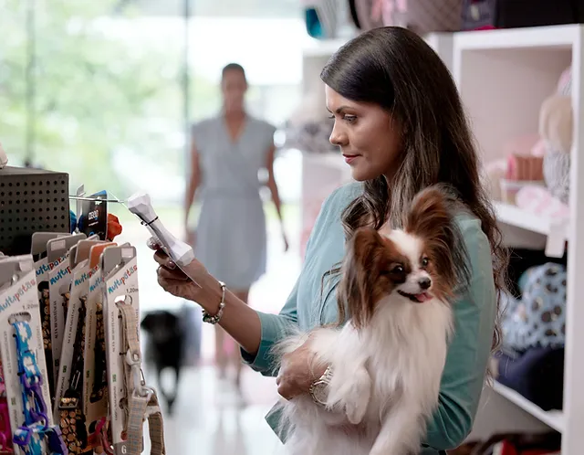 Home Hopeanimalshelter