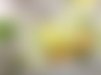 用香草與香料提升層次:迷迭香、羅勒到肉桂的應用