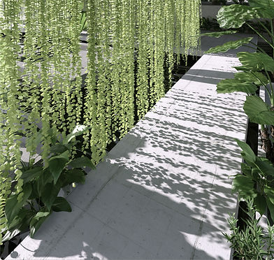 Residential Garden