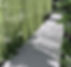 Residential Garden