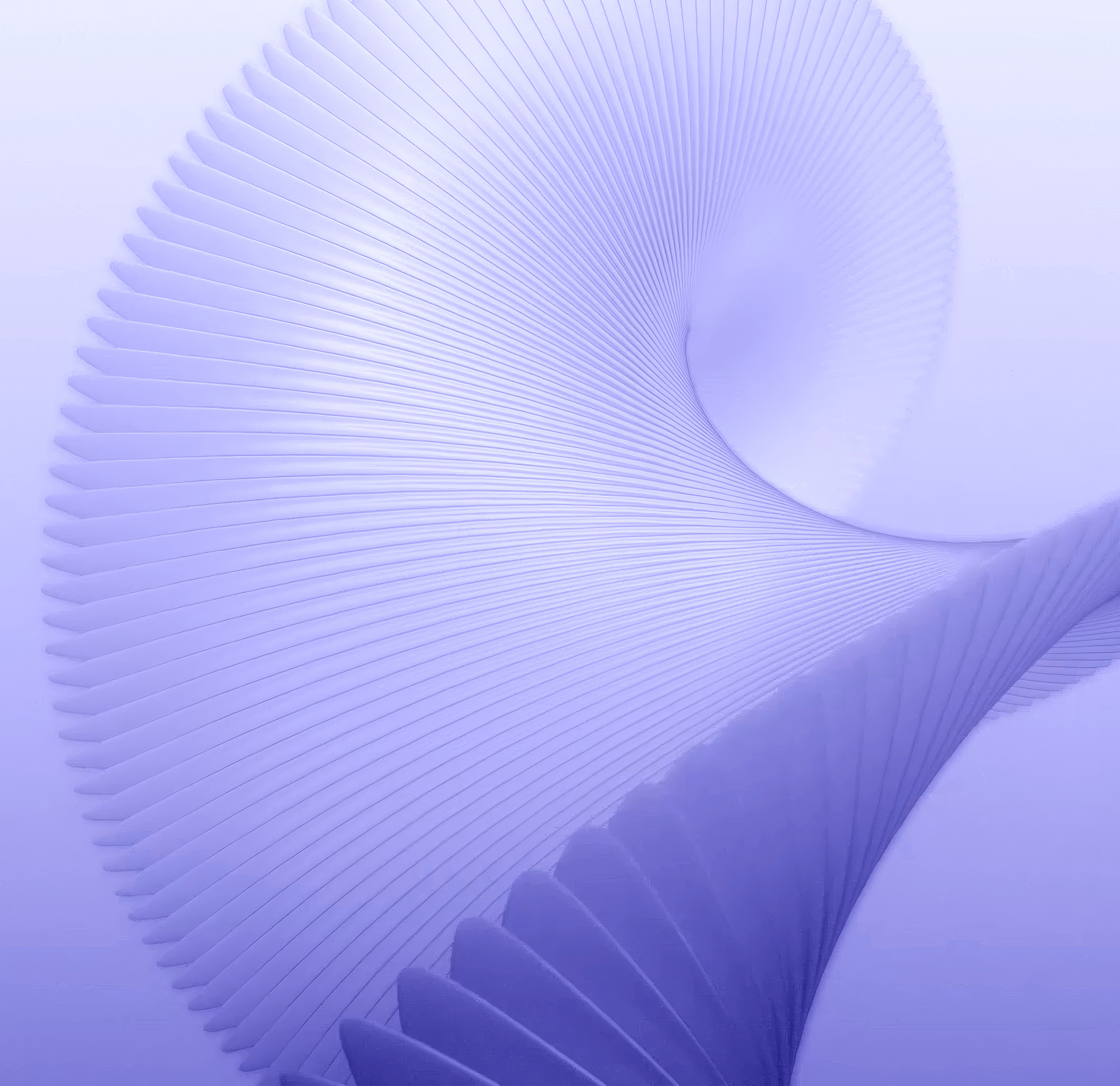 Immagine del redattore: Francesca Iodice