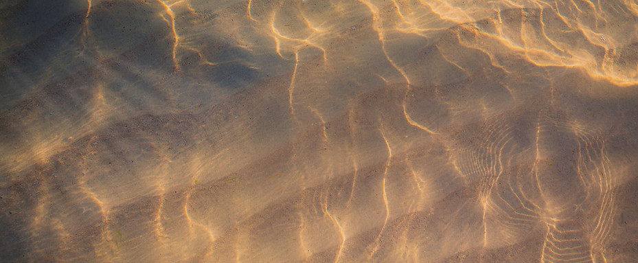 Water Reflections