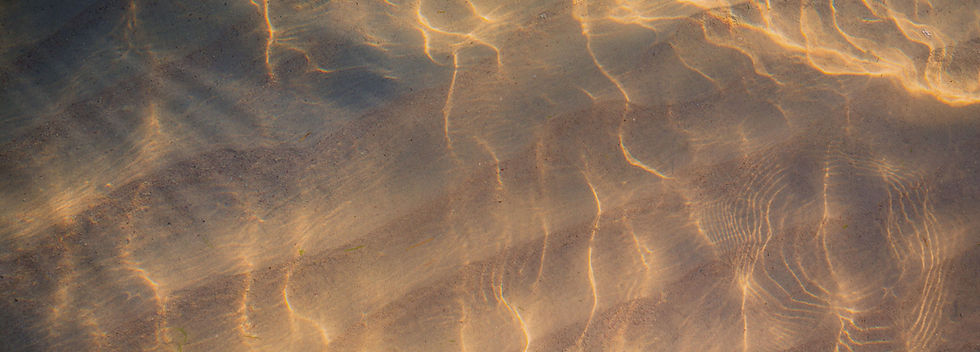 Water Reflections