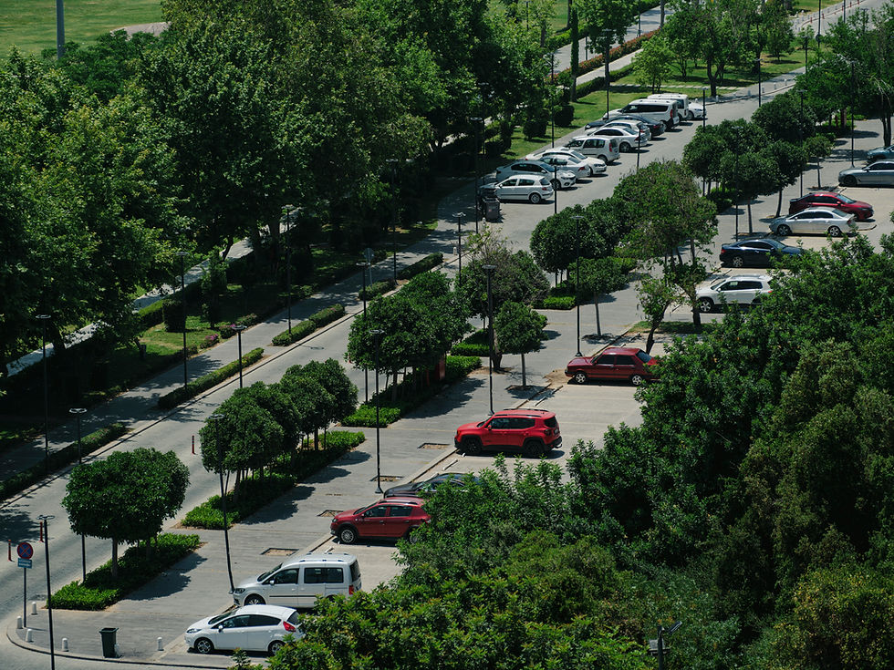 Tree-Lined Parking Lot