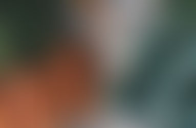 6 healthy garden to cafeteria recipes