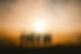 Silhouette with Mountains