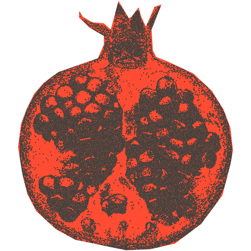 Red Pomegranate Illustration