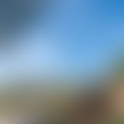 Seattle Parks and Recreation Invites Community Collaboration for South Capitol Hill Parks