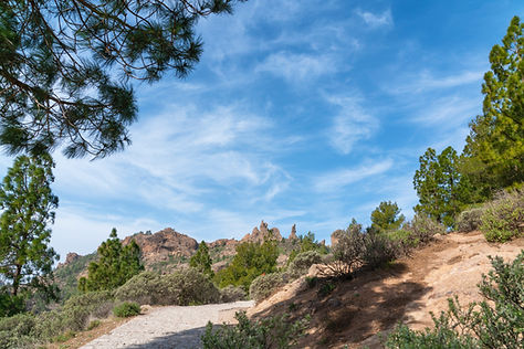 Explore the State park with ease when you book room at McAlester Inn and Suites.