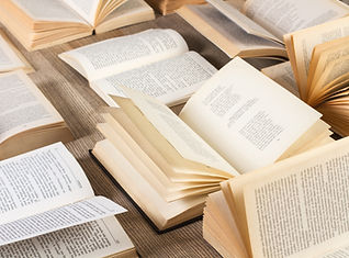 Kitap Çeşitliliği