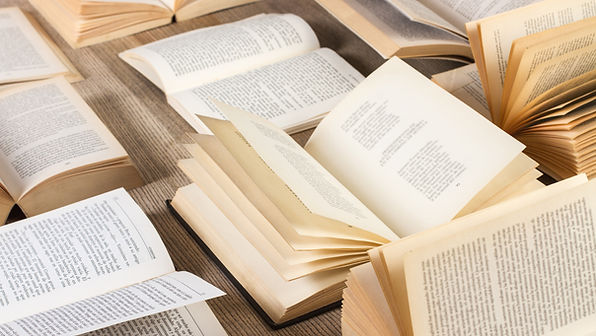 Surtido de libros