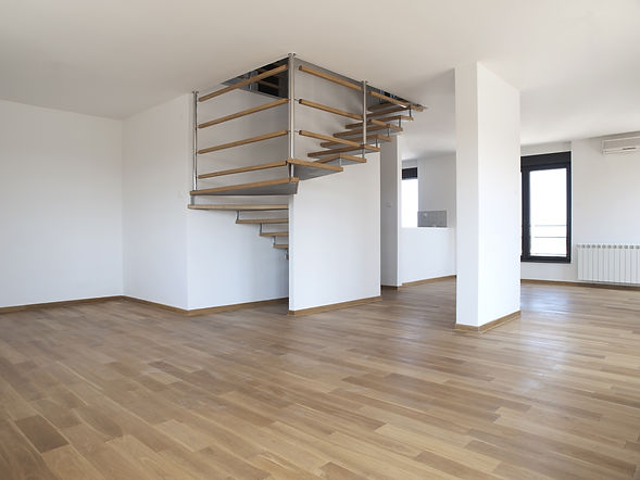 Modern large empty living room