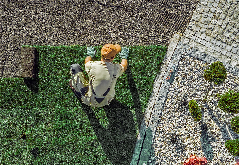 Gardening In Progress