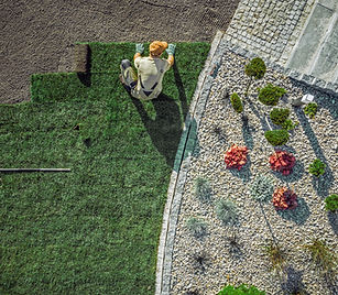 Installation de gazons