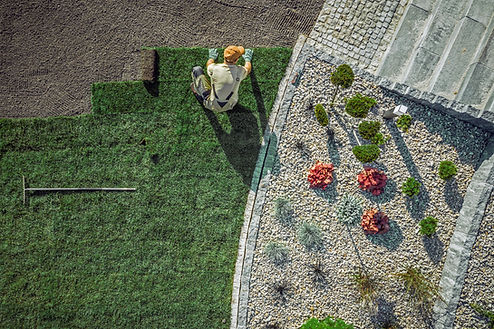 JardinerÃa en progreso