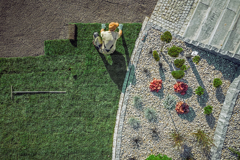 JardinerÃa en progreso