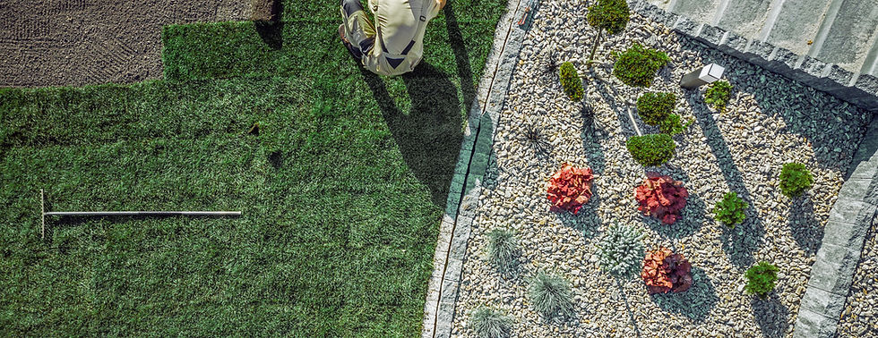 Gardening In Progress