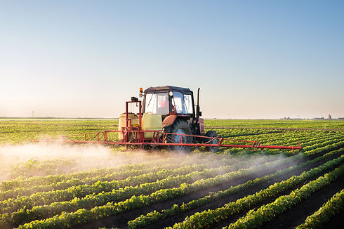 Red tractor spraying crops in a green field