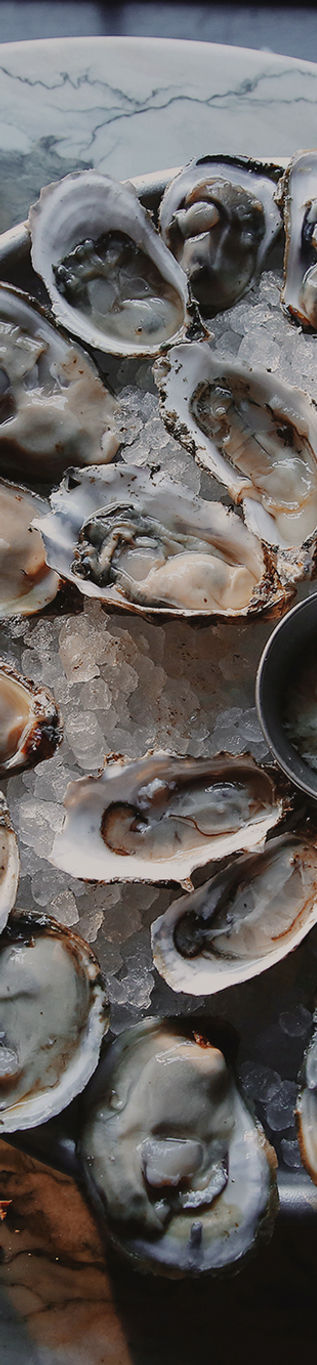 Raw Oysters