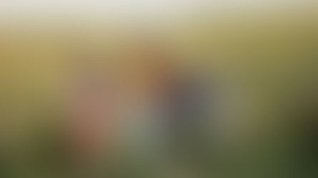 Forest Trail Activities for Kids