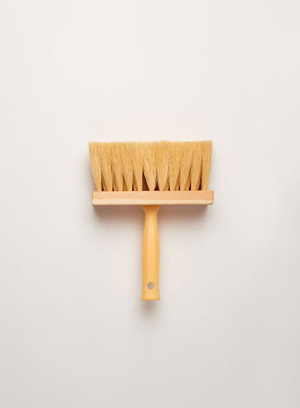 Brush  