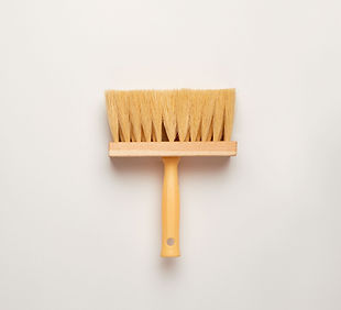 Brush