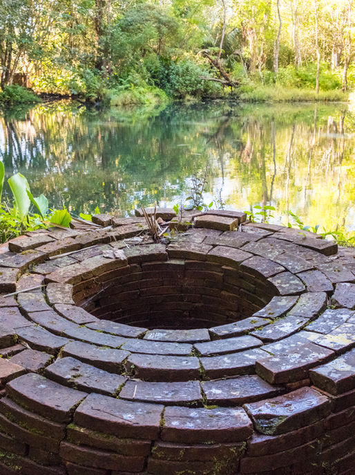 The Well in the Wilderness:  Hagar's Hope 