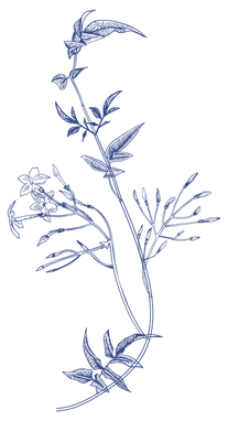 blue floral