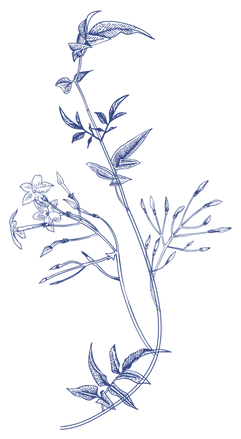 blue floral