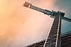 Crane