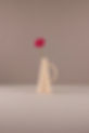 Fleur de bouton d'or rouge
